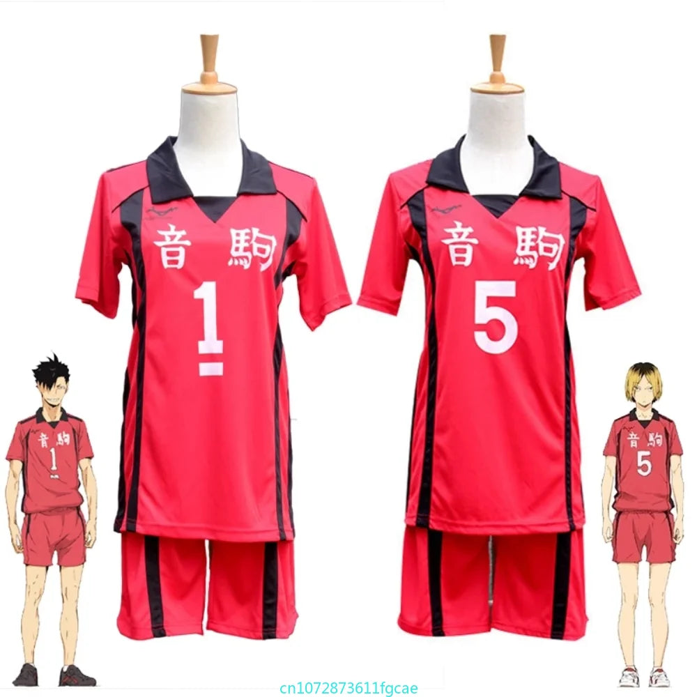 Haikyuu Karasuno High School Cosplay 