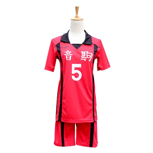 Haikyuu Karasuno High School Cosplay 